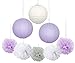Elephant Baby Shower Decorations 16 pcs White Lavender Grey Purple Tissue Paper Pom Pom Paper Lanterns for Lavender Themed Party Bridal Shower Decor Birthday Decorations