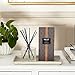 NEST Fragrances Reed Diffuser- Apricot Tea , 5.9 fl oz