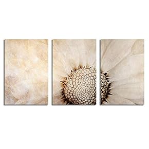 Canvas Wall Art Abstract Vintage Style Painting Artwork for Home Prints Framed - 16"x24" x 3 Panels