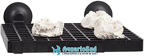 Aqua Medic Frag Board Retaining Plate with 10 Coral Pins