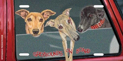 greyhound gifts amazon