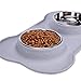 Dog Food Bowls, Stainless Steel Dog Bowls and Pet Bowls with No-Spill and Non-Skid Mat Feeder Bowls Suittable for Dogs Cats and Pets