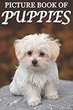 Picture Book of Puppies: Picture Book of