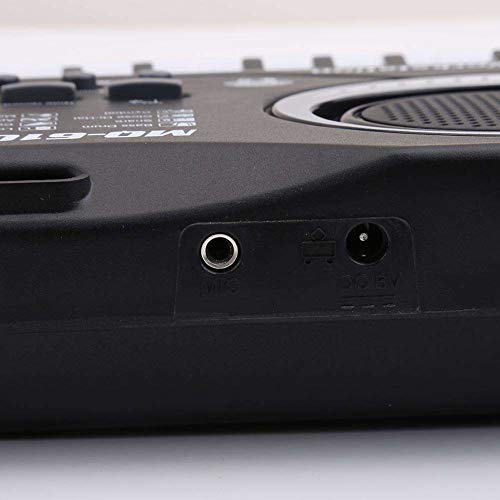 Mini Electronic Piano, FuriGer Digital Music Piano Keyboards 61 Key, Portable Multi-Function Electronic Musical Instrument with Microphone for Kids/Children/Toys/Gifts, Teaching/Educate for Beginners