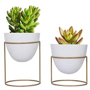 ecofynd 6 inches Alle Metal Plant Pot with Stand, Pack of 2 | White Decorative Modern Indoor Planter | Office Desk Pot…