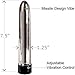 Portable Multi-Speed Vibrator Waterproof Vibrator（Silver）