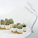 A Plus LED Grow Lights for Indoor Plants, 16000Lux