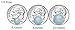 Belacqua Round Natural Blue Milky Aquamarine Gemstone Stud Earrings in Sterling Silver, Size - 10mm, Push Back - Clasp, Jewelry for Women, Gift Box Included