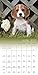 Puppies 2017 Calendar: Includes Downloadable Wallpaper