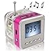 NIZHI TT-028 LED DISPLAY MINI SPEAKER USB FM SD FOR IPHONE IPAD IPOD MP3 PC TT-028 RED