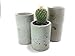Concrete Succulent Planters / Air Plant Holders. Urba Planters. (set of 3) Natural gray.
