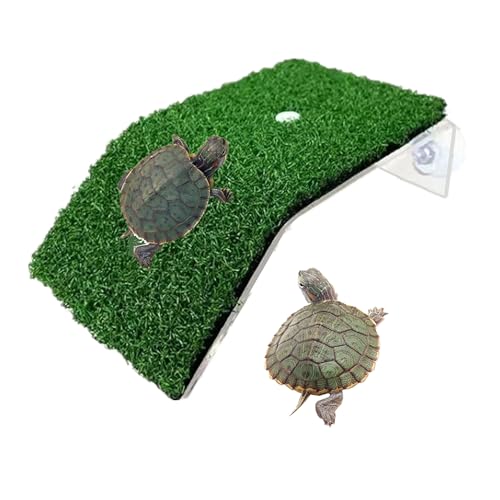 alfyng Turtle Resting Basking Platform