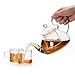 Glass Tea Pot Set - Loose Leaf Tea Pot with Infuser and Lid - Teapot with Strainer - Tea maker 24 oz