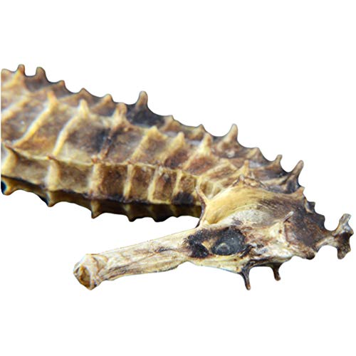OUYANGHENGZHI Chinese Soup Materials Dried Sea Horse Small Haima 小海马干 1 Pair - Thumbnail 3