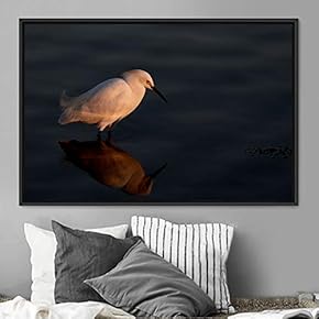 signwin Framed Canvas Wall Art Bird on a...
