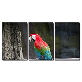 3 Piece Canvas Wall Art - Colorful Macaw Sitting on Log - Modern Home Art Stretched and Framed Ready to Hang - 16"x24"x3 Panels