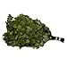 Oak Venik w/ Bay Leaves