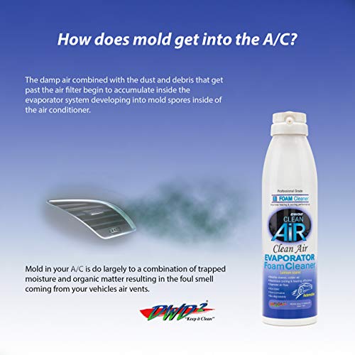DWD2 Clean AIR Premium Automotive Foaming AC Evaporator Coil Cleaner