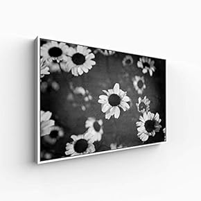 Canvas Wall Art for Living Room, Bedroom Monochrome Plants Framed Canvas Prints for Home Decoration Ready to Hang - 16x24 inches