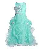 FAIRY COUPLE Girl's Organza Ruffle Flower Girl Pageant Communion Dress K0073