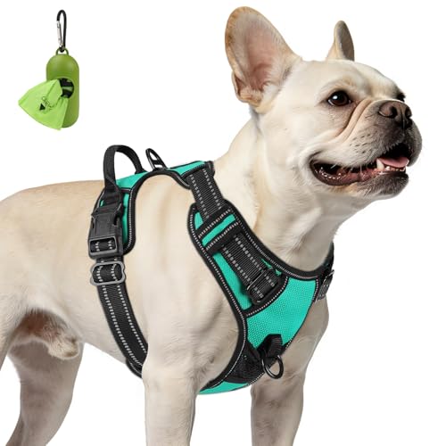 Joytale No Pull Dog Harness