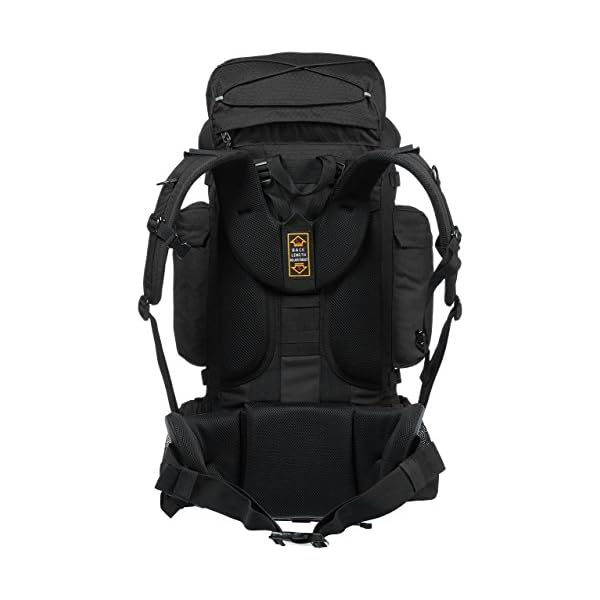 amazonbasics internal frame hiking backpack with rainfly