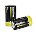RayHom D Batteries Rechargeable 10,000mAh Ni-MH High Capacity Battery (12 Pack)