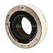 Sony SAL-14TC 1.4x Teleconverter Lens for Sony Alpha Digital SLR Camera