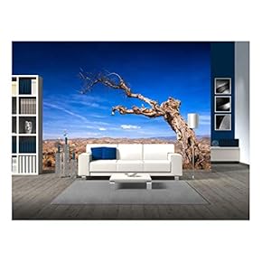 Parched Tree in The Desert Landscape-Spain, Almeria - Removable Wall Mural | Self-Adhesive Large Wallpaper - 66x96 inches