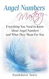 Angel Numbers Mastery: Everything You Need to Know About Angel Numbers and What They Mean For You by Sarahdawn Tunis