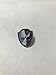 NASA Expedition 51 Lapel Pin Official Launch Emblem