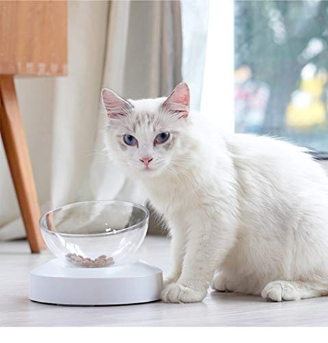 Real Pet Raised Cat Food Bowl - Dog Food Bowl with Transparent Tilted Cat Bowl, Detachable & 0-30° Elevated Cat Bowls, Stress Free, Dishwasher Safe