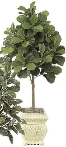 Autograph Foliages W-2320 - 5 Foot Fiddle Leaf Fig Tree - Green
