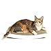 4CLAWS Curve Scratching Pad (White) - Basics Collection Cat Scratcher