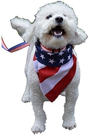 American pride dog bundle Collar, Leash, and Bandana (Great for the 4th of July!)