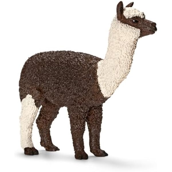 1st birthday present ideas for son