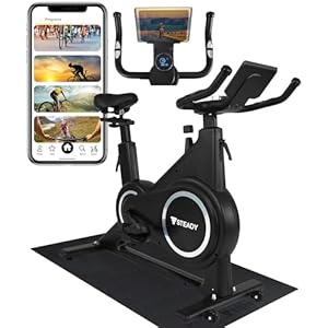 STEADY スピンバイク Plus エアロバイク フィットネスバイク 家庭用 ST145(ブラック/マット付)