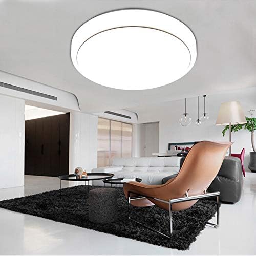 LED Ceiling Light Modern Round Daylight Fitting Lamp Natural White Lighting 12/18/24W for Kitchen, Bedroom, Hallway, Living Room(Silver Edge-12W)