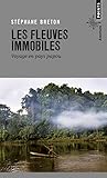 Les fleuves immobiles : Voyage en pays papou by 