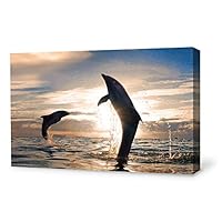 Canvas Wall Art Lovely Dolphin Canvas Prints Home Artwork Decoration for Living Room,Bedroom - 12x18 inches