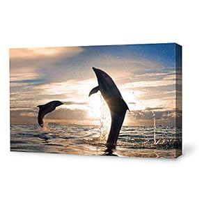Canvas Wall Art Lovely Dolphin Canvas Prints Home Artwork Decoration for Living Room,Bedroom - 12x18 inches