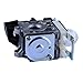 Hipa SRM 230 Carburetor for Echo PE230 SRM230 PAS230 PPT230 GT230 SRM231 PE231 GT231 PAS231 PPT231 SRM230S SRM230U SRM231S SRM231U Trimmer Replace RB-K75
