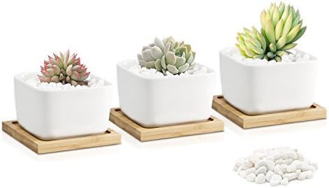 3.54 Inch PUAIDA White Ceramic Contemporary Square Design Succulent Plant Pot, Planter for Succulent Plants, Small Cactus and Herbs with Bamboo Trays and Stone - Set of 3