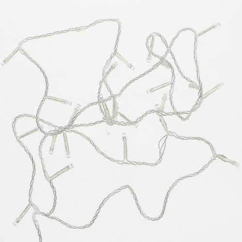 KaemingkInternational Warm White 24 Light Strand