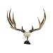 Big Rack Dashboard Figurine, Mule Deer, 3.5