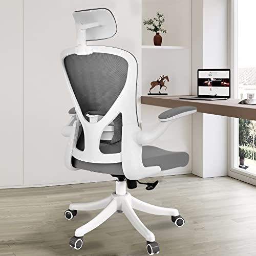 SICHY AGE Ergonomic Office Chair Home Desk Office Chair with Adjustable  Headrest Cushion for Lumbar Support,