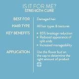 Pureology Strength Cure Shampoo 266ml & Conditioner 266ml Duo 2020 view 11