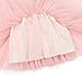 Flofallzique Summer Baby Girls Tulle Dress Floral Wedding Birthday Tea Party Special Occasion Infant Toddler Tutu