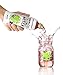 Harmless Harvest Organic Coconut Water, Original 16 Fl Oz, Pack of 12
