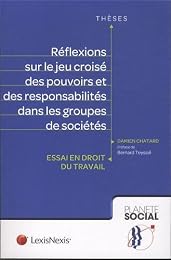 Réflexions sur le jeu croisé des pouvoirs et des responsabilités dans les groupes de sociétés